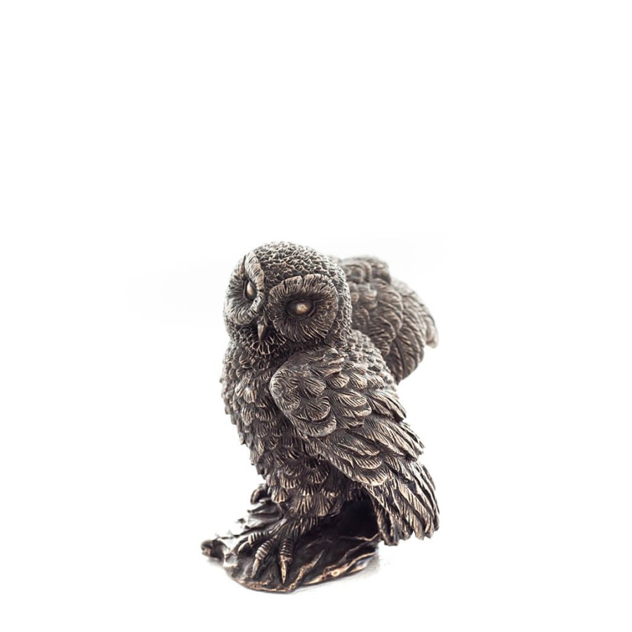 ΚΟΥΚΟΥΒΑΓΙΑ ΣΕ ΒΡΑΧΟ ΜΕ ΑΝΟΙΧΤΑ ΦΤΕΡΑ ΚΑΙ ΠΡΟΣΩΠΟ ΑΡΙΣΤΕΡΑ 6εκ κιβ.60