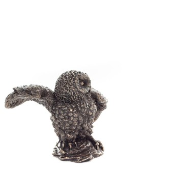 ΚΟΥΚΟΥΒΑΓΙΑ ΣΕ ΒΡΑΧΟ ΜΕ ΑΝΟΙΧΤΑ ΦΤΕΡΑ ΚΑΙ ΠΡΟΣΩΠΟ ΑΡΙΣΤΕΡΑ 6εκ κιβ.60