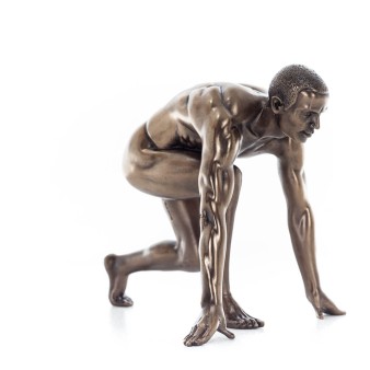 ΔΡΟΜΕΑΣ 13,5εκ