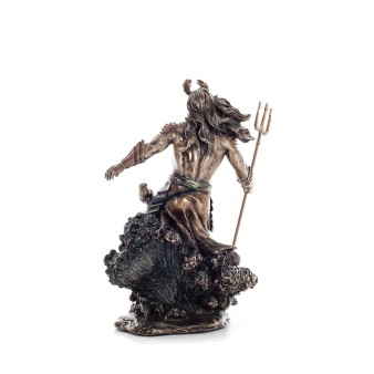 ΠΟΣΕΙΔΩΝΑΣ 30εκ