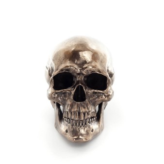 Skull 22x16cm Veronese Bronze Electrolysis Full Body Statue Modern Decorative