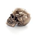 Skull 22x16cm Veronese Bronze Electrolysis Full Body Statue Modern Decorative