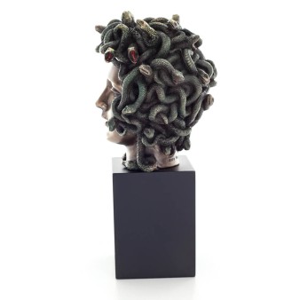 ΠΡΟΤΟΜΗ ΜΕΔΟΥΣΑΣ 20εκ