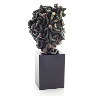 ΠΡΟΤΟΜΗ ΜΕΔΟΥΣΑΣ 20εκ