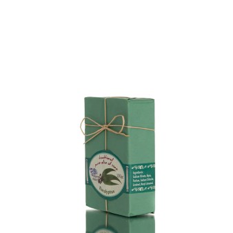 ΣΑΠΟΥΝΙ ΧΑΡΤΙΝΟ ΜΕ ΦΙΟΓΚΟ κιβ.120