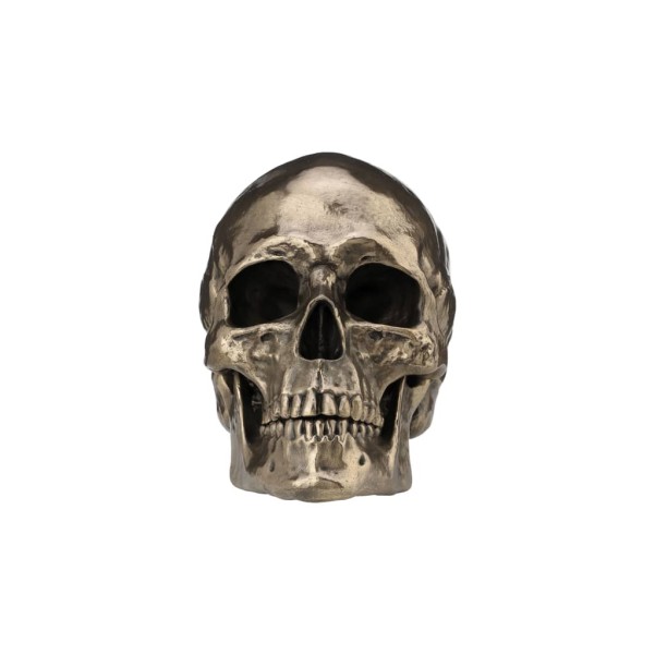 Skull 22x16cm Veronese Bronze Electrolysis Full Body Statue Modern Decorative
